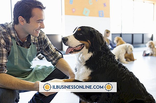 Categoría planificacion de negocios y estrategia: Cómo escribir un plan de negocios de guardería para perros